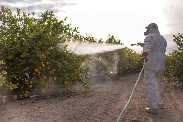 Best Pest Control Near Me  in Marlton, MD