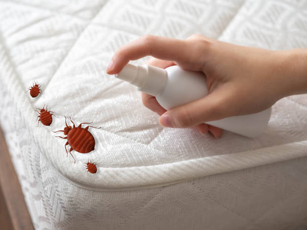 Best Best Pest Control Companies  in Marlton, MD