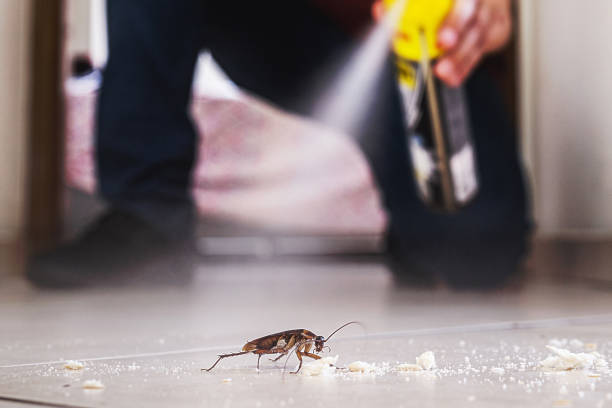 Best Affordable Pest Control Services  in Marlton, MD