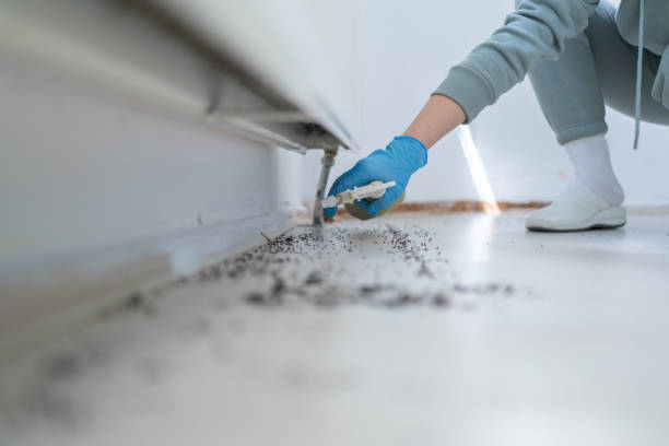 Best Residential Pest Control  in Marlton, MD